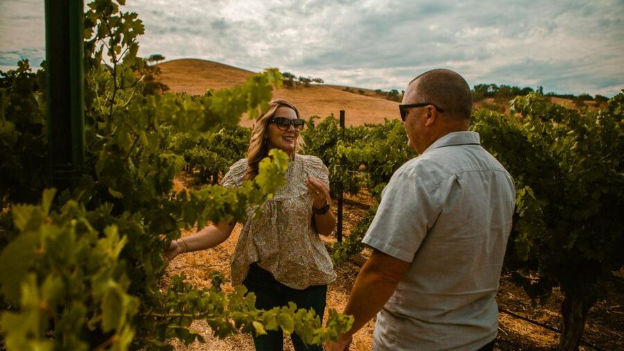 Paso Robles: Scenic Sidecar Vineyard Tour - Key points to know before booking