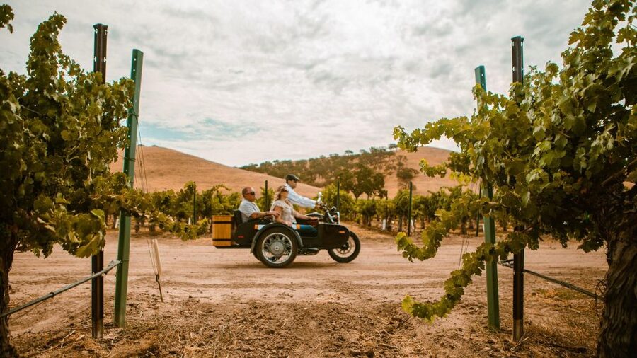 Paso Robles: Scenic Sidecar Vineyard Tour - What you get for $65 per person
