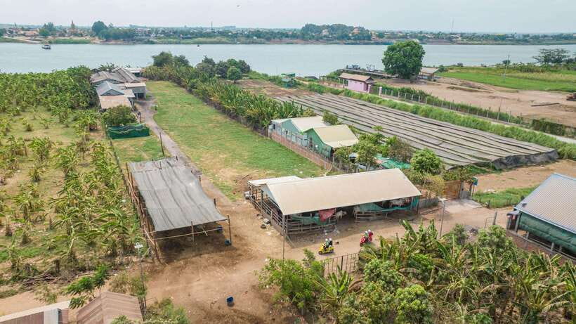 Phnom Penh: Silk Island Tour by Vespa with Tuk Tuk Available - Ferry crossings that make the journey memorable
