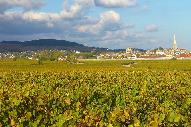 Private Guided Sidecar Tour in Burgundy from Meursault - Puligny-Montrachet and the view toward Montrachet