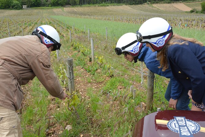 Private Guided Sidecar Tour in Burgundy from Meursault - What the one-hour duration really gives you