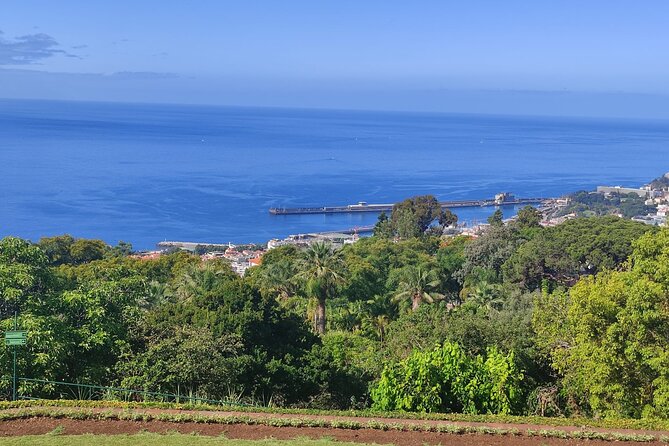 Private Sidecar Tour – Downtown Funchal for 1 or 2 People - Miradouro do Pináculo at a higher angle