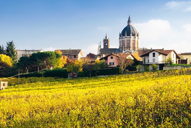 Private Vespa Tour "Among the hills of Barolo and Barbaresco" - Why a Vespa fits the Langhe so well