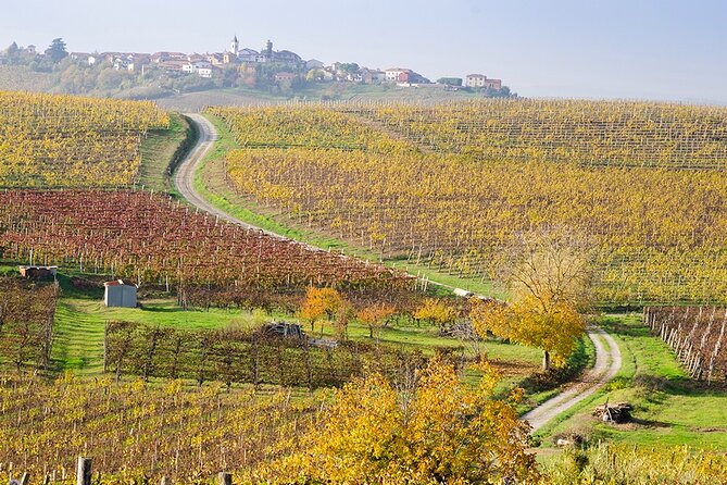 Private Vespa Tour "Among the hills of Barolo and Barbaresco" - Alba, the two-hour center of the day