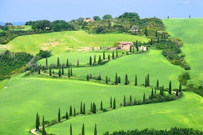 Romantic Vespa Tour and Wine Tasting - How the private format changes the day