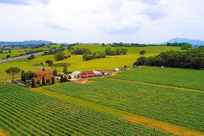 Romantic Vespa Tour and Wine Tasting - Montepulciano and Pienza give the ride a purpose