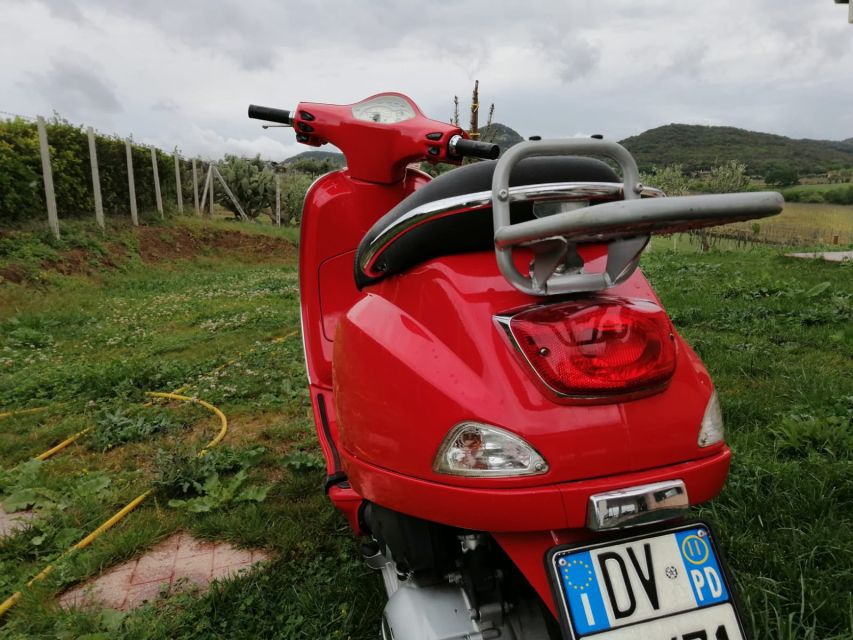 Rome: City Highlights Vespa Tour with Driver - Riding through narrow streets and Roman traffic