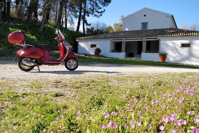 Savour The Flavors Of Corfu Vespa Scooter Tour - Lazaris Distillery and Corfu’s sweet tooth