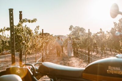 Scenic Sidecar Vineyard Tour Paso Robles