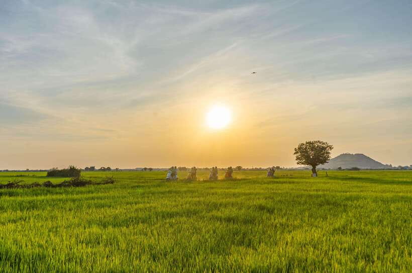 Siem Reap Countryside Sunset Vespa Tour or Tuk Tuk - Small farms, lotus ponds, and working Cambodia