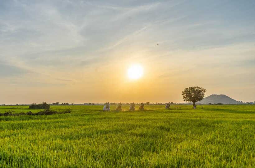 Siem Reap Countryside Sunset Vespa Tour or Tuk Tuk - Wat Po Banteaychey, a quieter temple stop