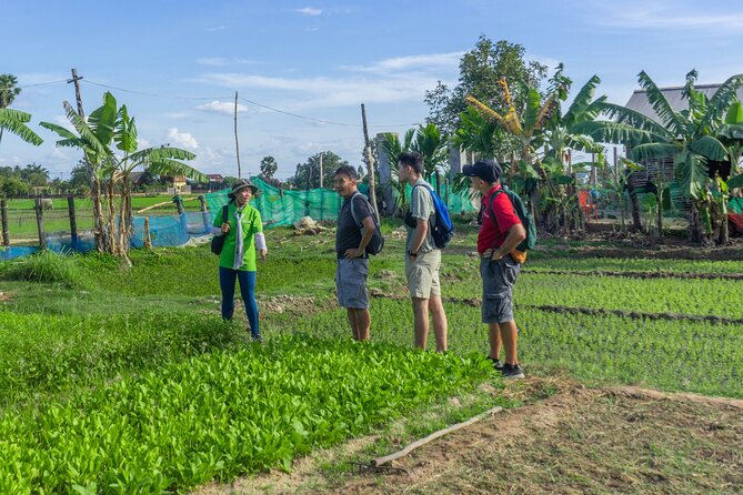Siem Reap Countryside Sunset Vespa Tour / Tuk Tuk Available - Vespa comfort, cars, and family fit