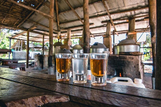 Siem Reap Countryside Sunset Vespa Tour / Tuk Tuk Available - Timing and what to bring