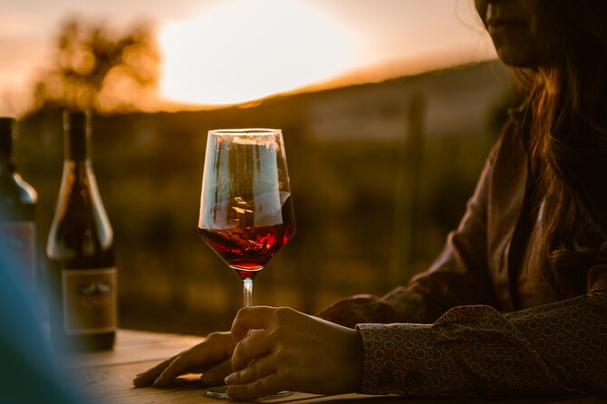 Sunset at the Vineyards Sidecar Wine Adventure Paso Robles - Riding through the vineyards at sunset