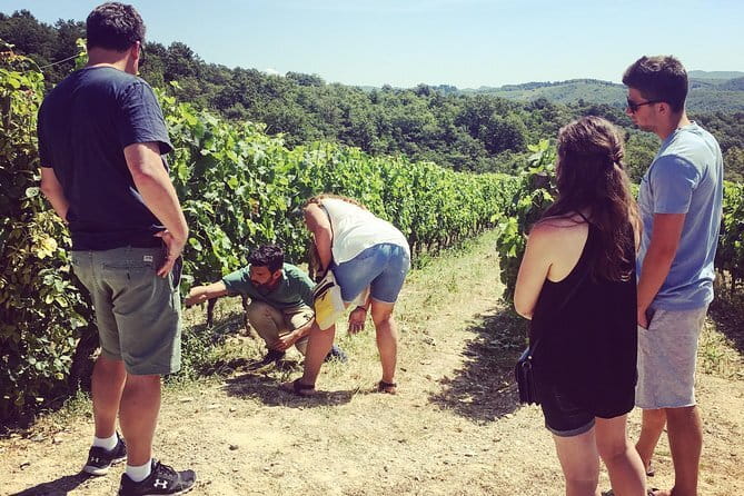 Tuscany Vespa Tours Through the Hills of Chianti - Is the $193.49 price fair?
