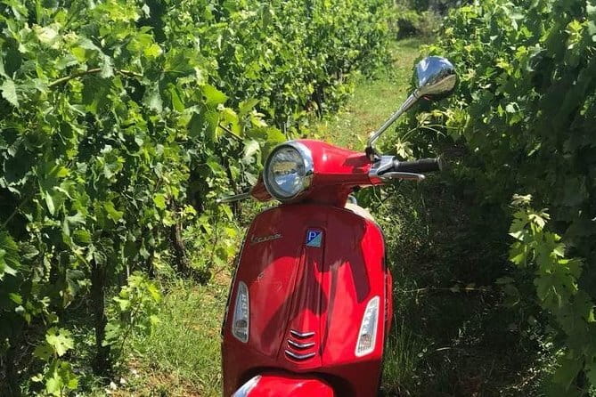 Vespa Motorcycle rental in Florence - What a Vespa changes about seeing Florence