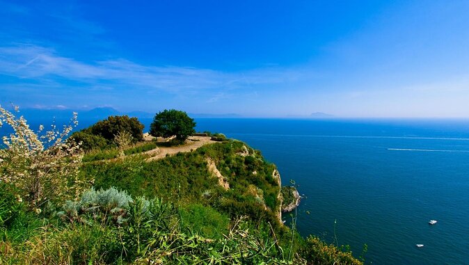 Vespa Panoramic Tour - Key points to know before booking