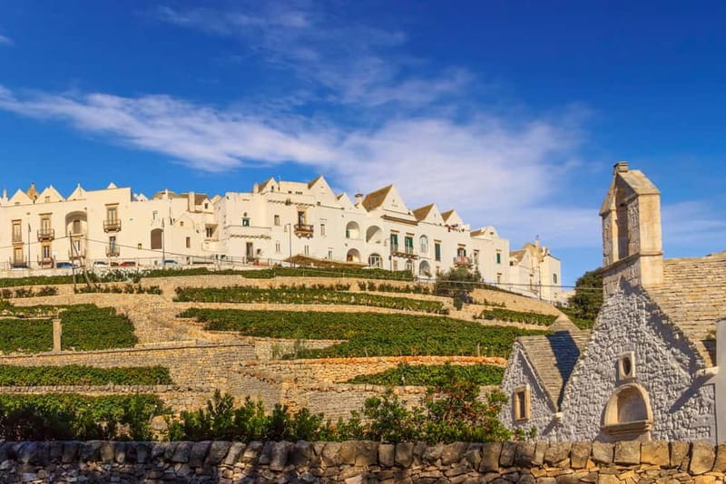 Vespa scenic tour: Trulli and Countryside with tastings in Itria Valley - Key points to know before booking