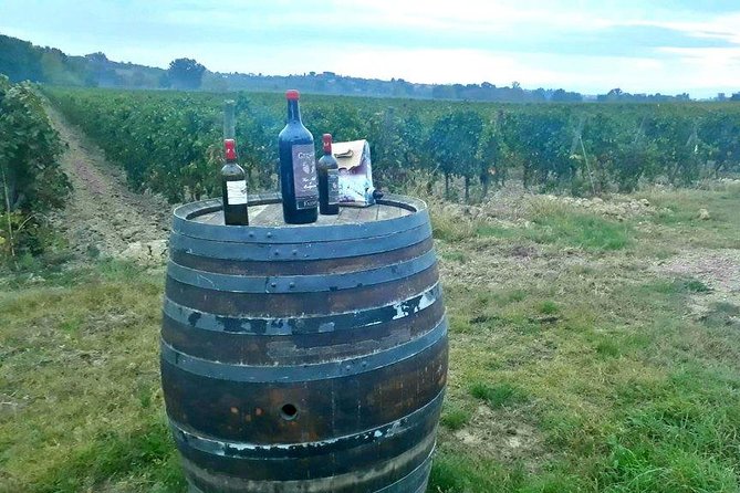Vespa Tour with Lunch&Chianti Winery from Siena - Radda in Chianti from the saddle