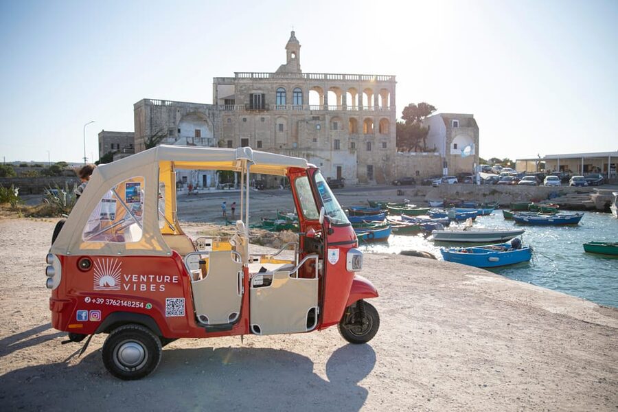 Vintage Ape Calessino: Polignano a Mare Tours - Who will enjoy this tour most?